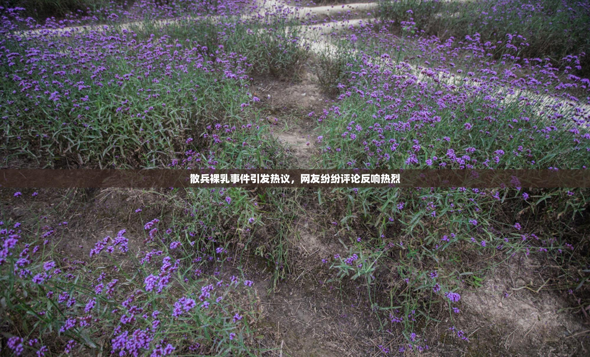 散兵裸乳事件引发热议，网友纷纷评论反响热烈