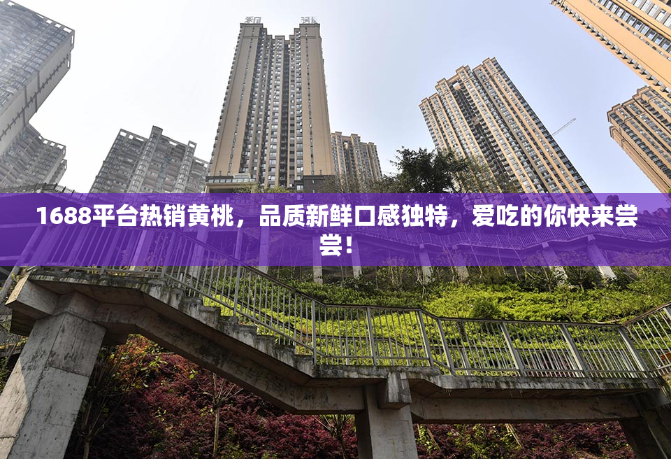 1688平台热销黄桃，品质新鲜口感独特，爱吃的你快来尝尝！