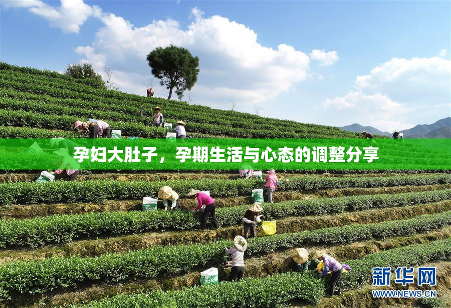 孕妇大肚子，孕期生活与心态的调整分享