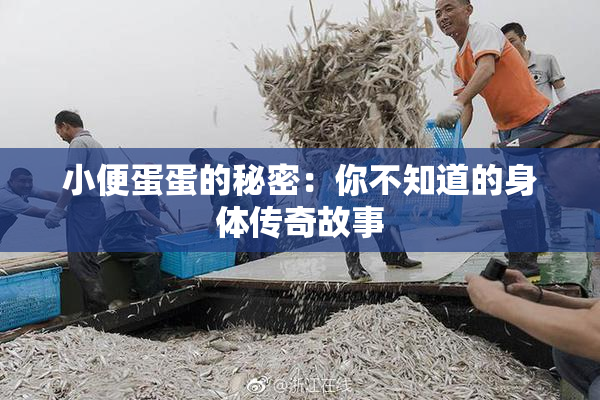 小便蛋蛋的秘密：你不知道的身体传奇故事
