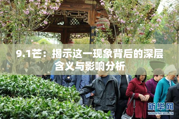 9.1芒：揭示这一现象背后的深层含义与影响分析