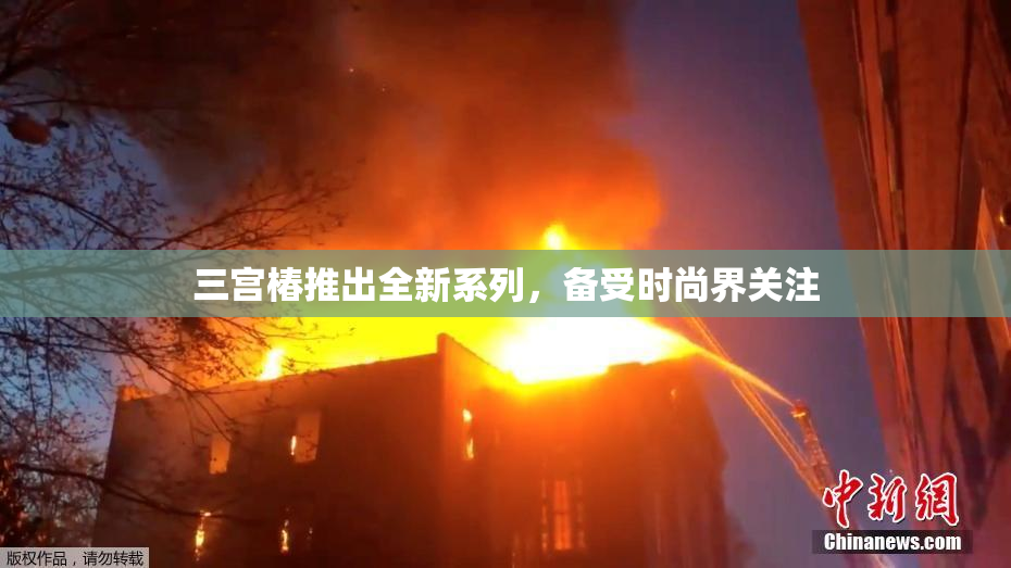 三宫椿推出全新系列，备受时尚界关注