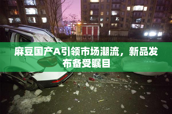 麻豆国产A引领市场潮流，新品发布备受瞩目