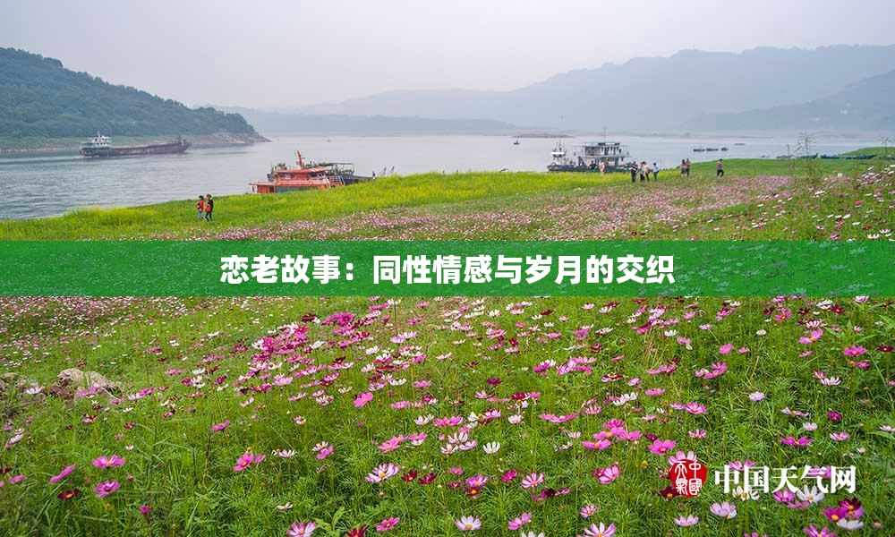恋老故事：同性情感与岁月的交织