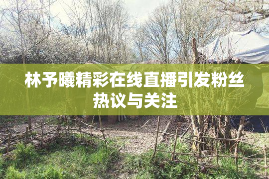 林予曦精彩在线直播引发粉丝热议与关注