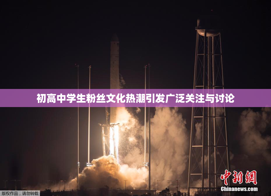 初高中学生粉丝文化热潮引发广泛关注与讨论