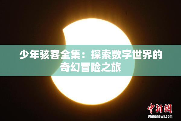 少年骇客全集：探索数字世界的奇幻冒险之旅