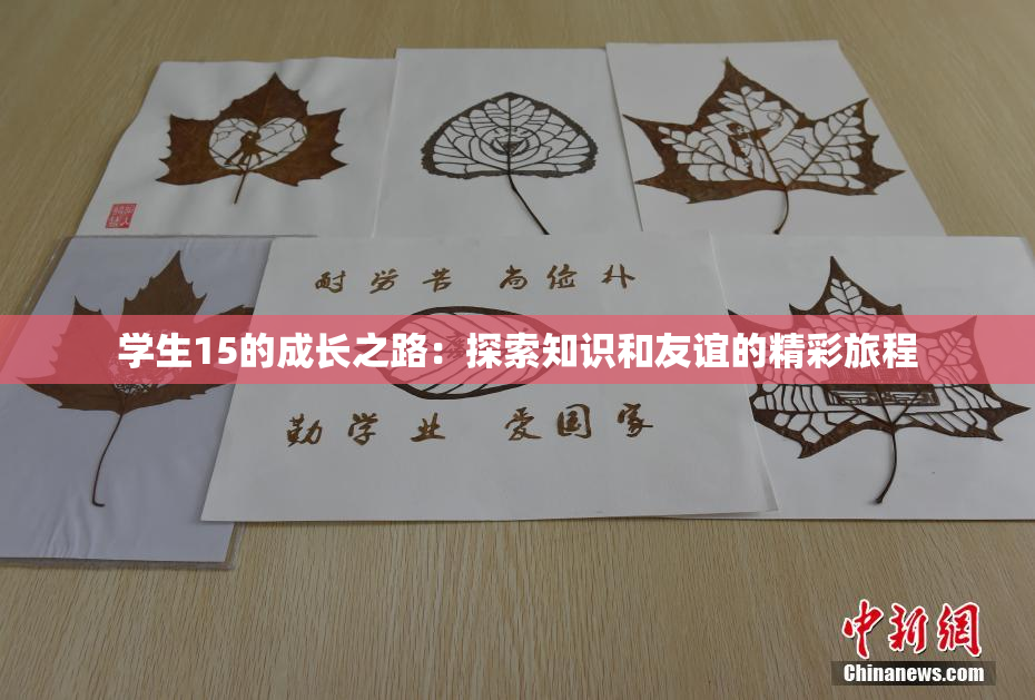 学生15的成长之路：探索知识和友谊的精彩旅程