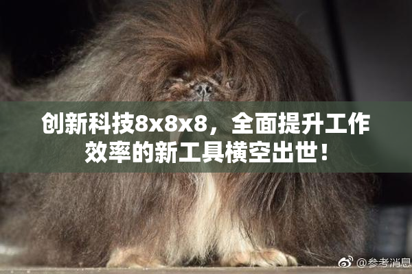 创新科技8x8x8，全面提升工作效率的新工具横空出世！