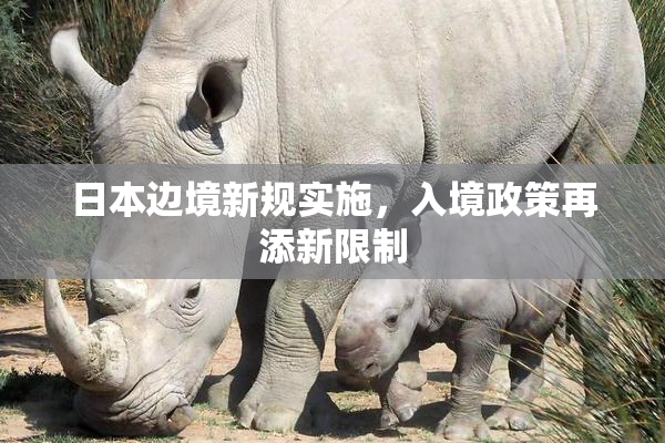 日本边境新规实施，入境政策再添新限制