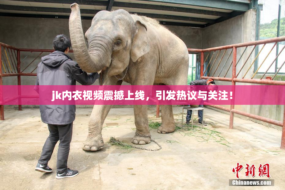 jk内衣视频震撼上线，引发热议与关注！
