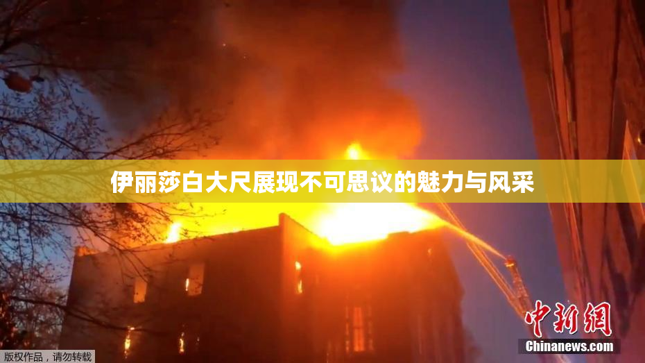 伊丽莎白大尺展现不可思议的魅力与风采