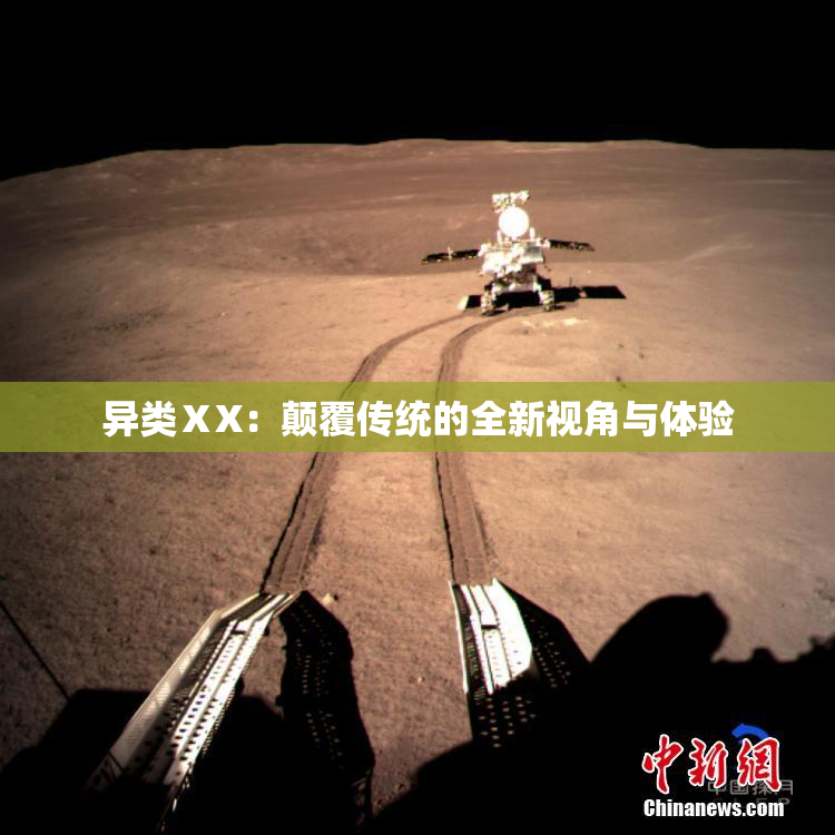 异类ⅩX：颠覆传统的全新视角与体验