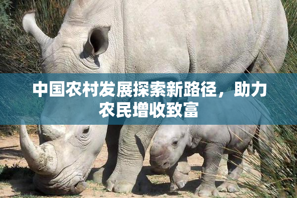 中国农村发展探索新路径，助力农民增收致富