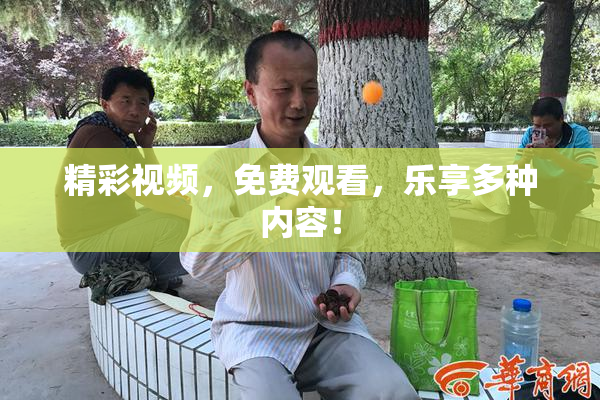 精彩视频，免费观看，乐享多种内容！