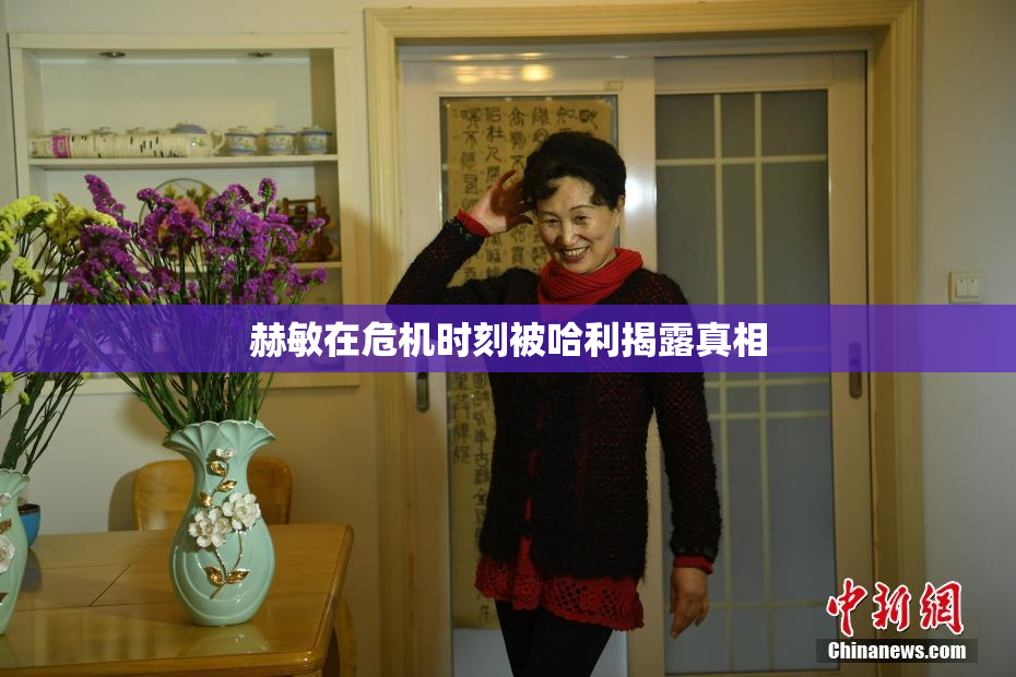 赫敏在危机时刻被哈利揭露真相