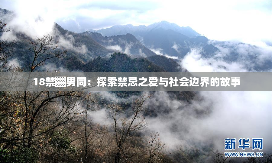 18禁▓男同：探索禁忌之爱与社会边界的故事
