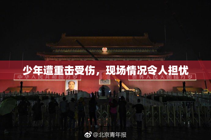 少年遭重击受伤，现场情况令人担忧