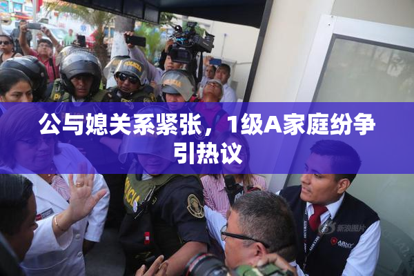 公与媳关系紧张，1级A家庭纷争引热议