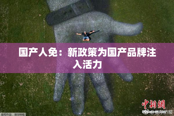 国产人免：新政策为国产品牌注入活力