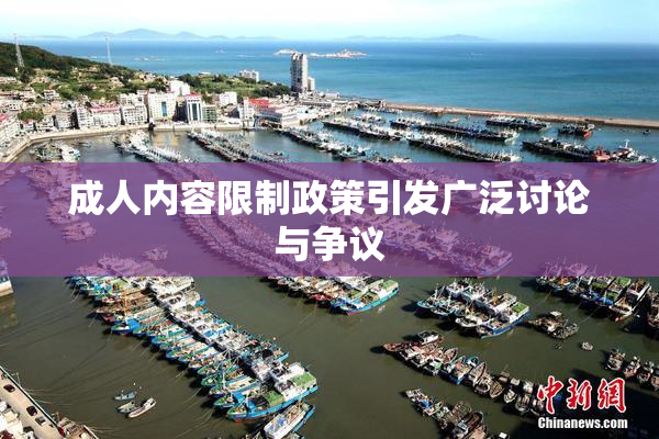 成人内容限制政策引发广泛讨论与争议