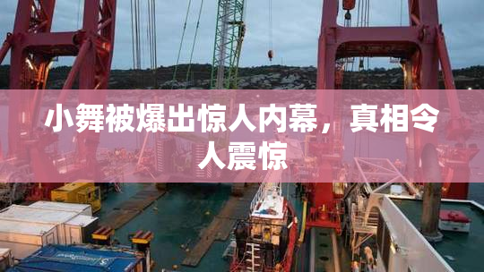小舞被爆出惊人内幕，真相令人震惊