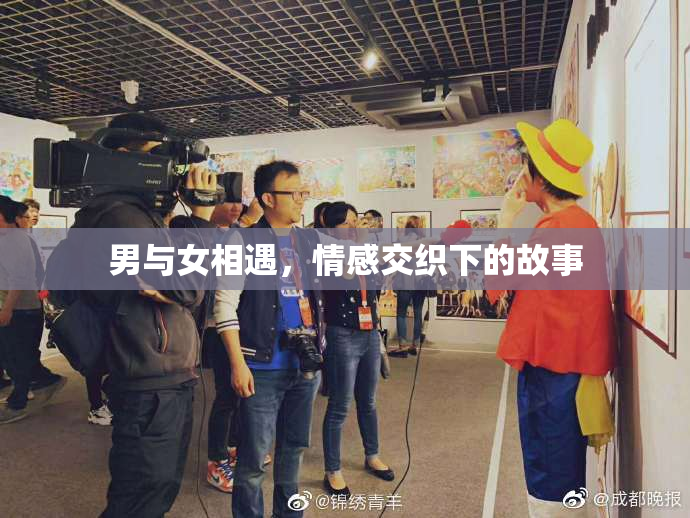 男与女相遇，情感交织下的故事