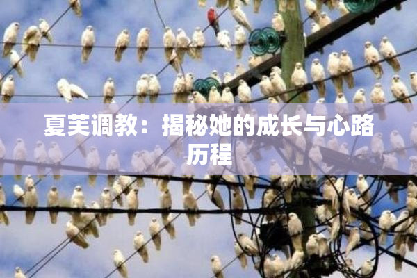 夏芙调教：揭秘她的成长与心路历程