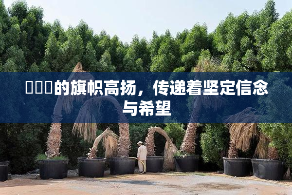 逹葢薾的旗帜高扬，传递着坚定信念与希望
