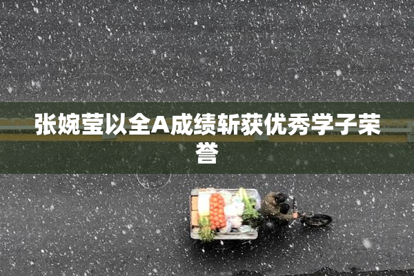 张婉莹以全A成绩斩获优秀学子荣誉