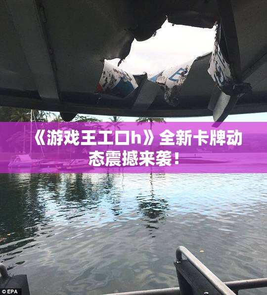 《游戏王工口h》全新卡牌动态震撼来袭！