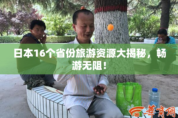 日本16个省份旅游资源大揭秘，畅游无阻！