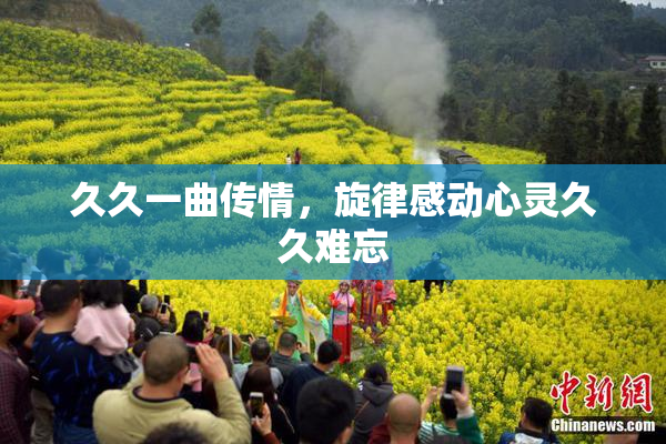 久久一曲传情，旋律感动心灵久久难忘