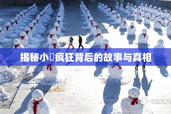 揭秘小泬疯狂背后的故事与真相