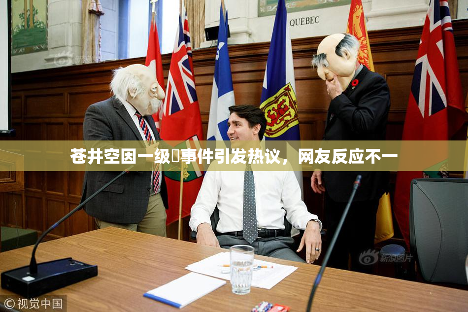苍井空因一级婬事件引发热议，网友反应不一