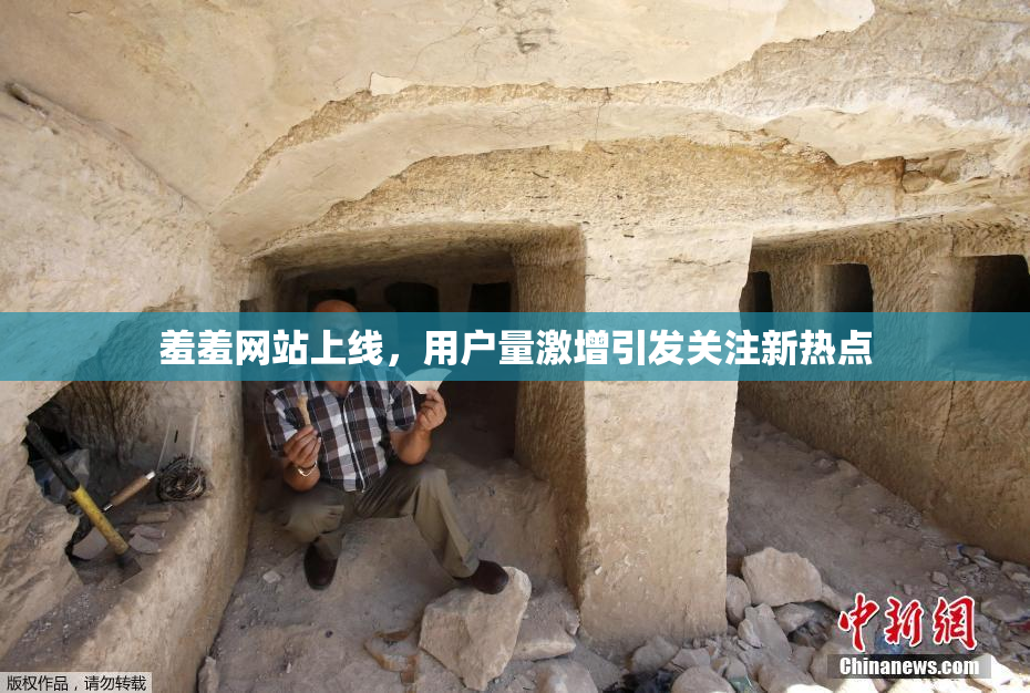 羞羞网站上线，用户量激增引发关注新热点