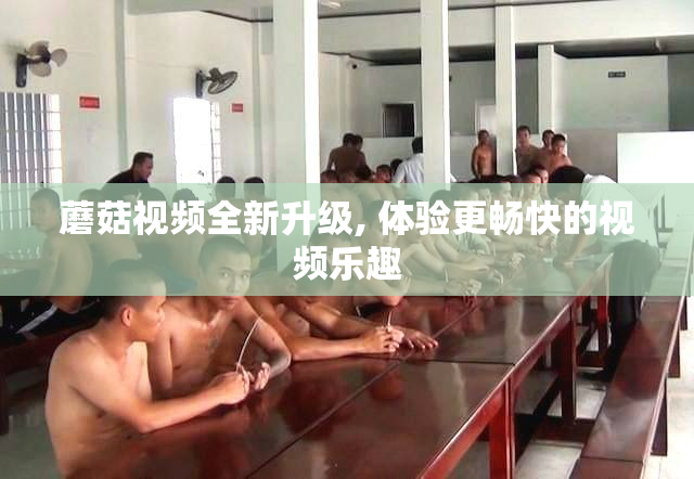 蘑菇视频全新升级, 体验更畅快的视频乐趣