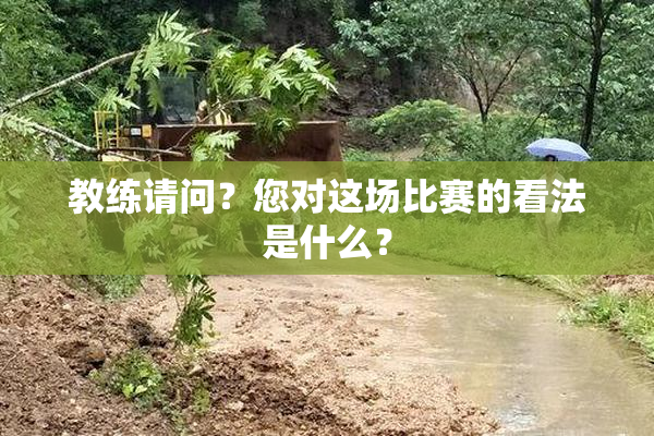 教练请问？您对这场比赛的看法是什么？