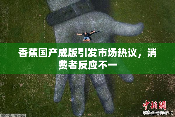 香蕉国产成版引发市场热议，消费者反应不一