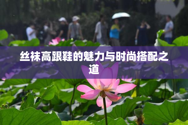 丝袜高跟鞋的魅力与时尚搭配之道