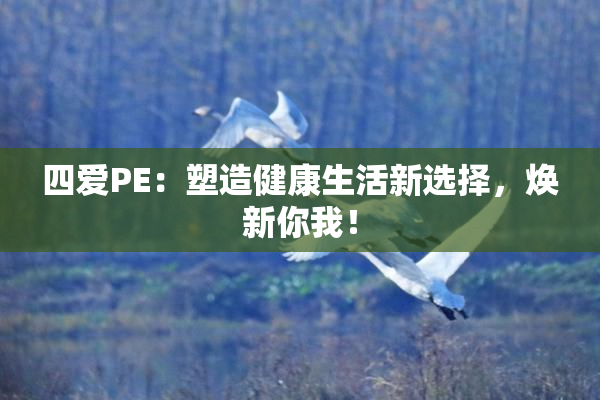 四爱PE：塑造健康生活新选择，焕新你我！