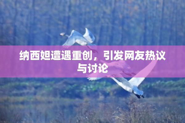 纳西妲遭遇重创，引发网友热议与讨论