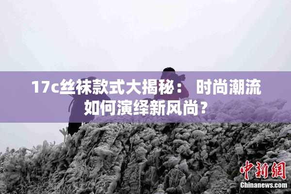 17c丝袜款式大揭秘： 时尚潮流如何演绎新风尚？