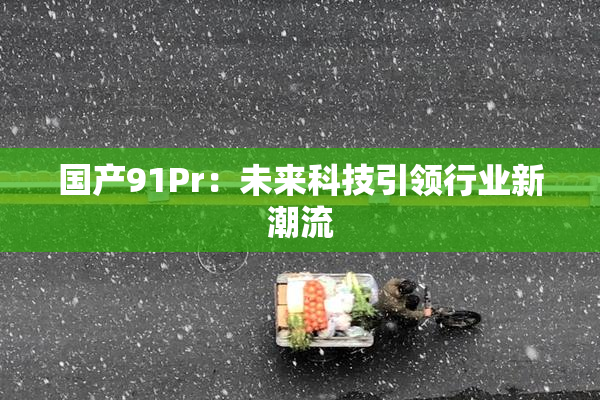 国产91Pr：未来科技引领行业新潮流