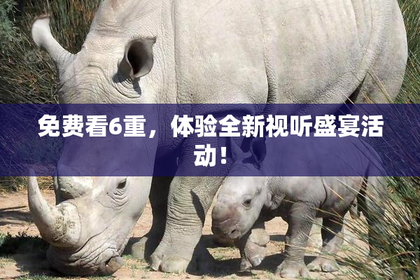 免费看6重，体验全新视听盛宴活动！