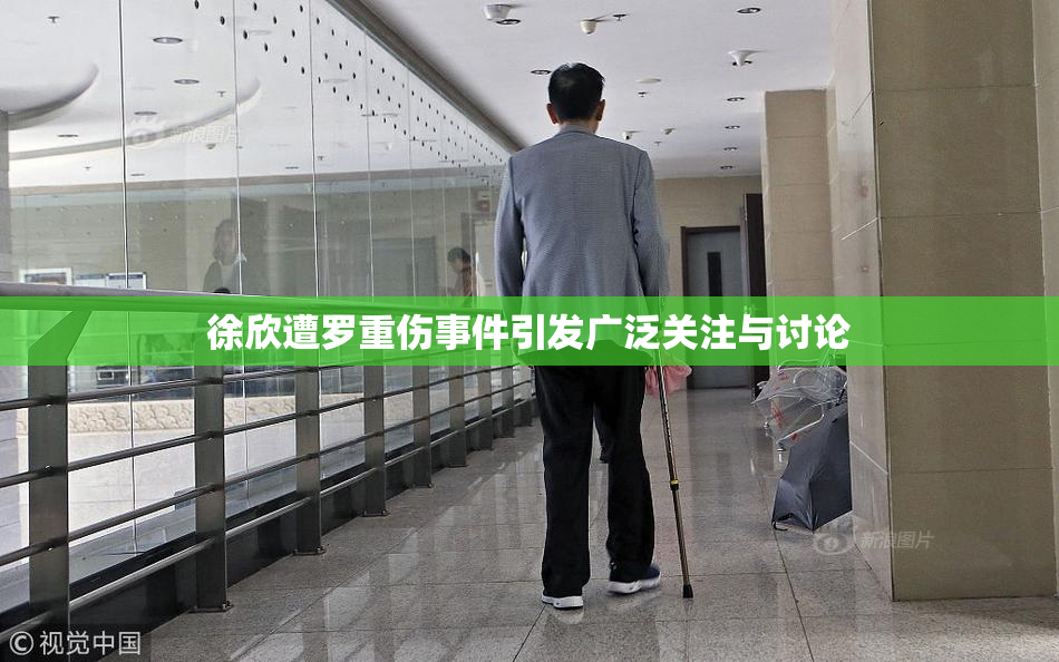 徐欣遭罗重伤事件引发广泛关注与讨论