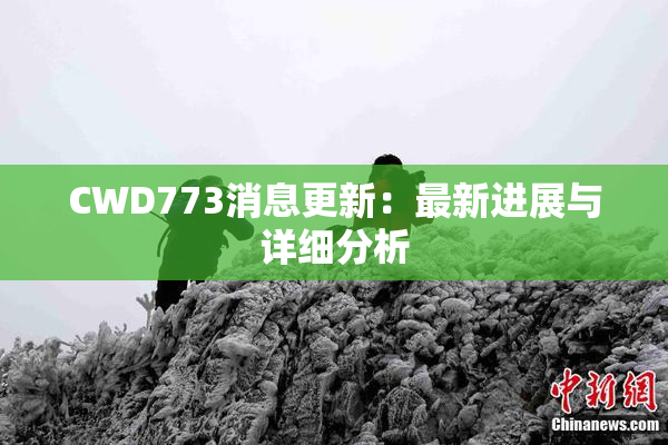 CWD773消息更新：最新进展与详细分析