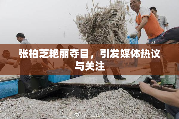 张柏芝艳丽夺目，引发媒体热议与关注