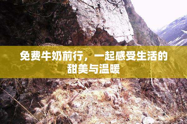 免费牛奶前行，一起感受生活的甜美与温暖