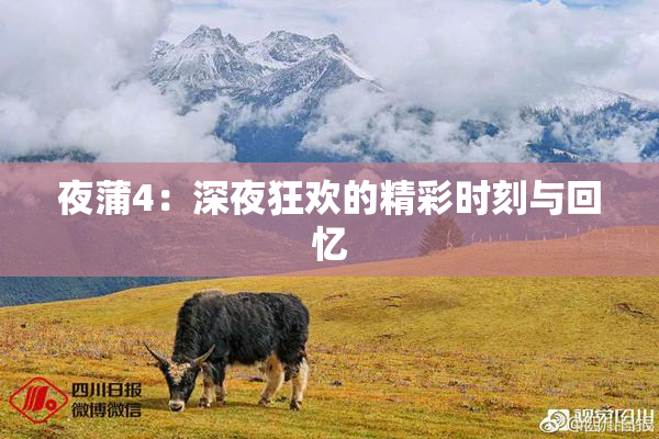 夜蒲4：深夜狂欢的精彩时刻与回忆